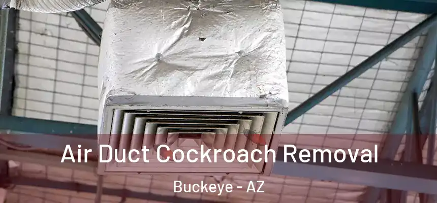  Air Duct Cockroach Removal Buckeye - AZ