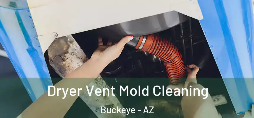  Dryer Vent Mold Cleaning Buckeye - AZ