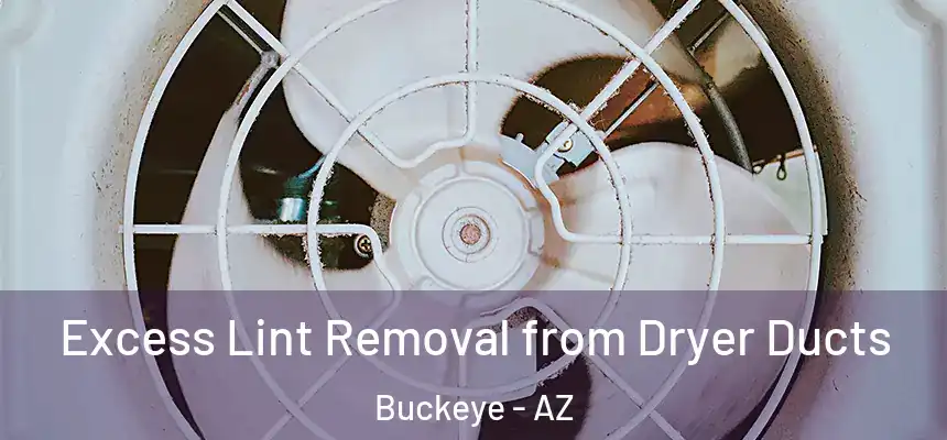  Excess Lint Removal from Dryer Ducts Buckeye - AZ