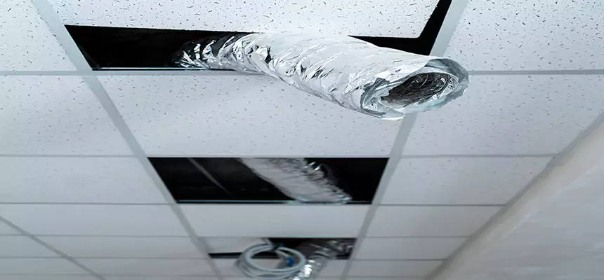 Our Air Duct Pet Hair Removal Services in Buckeye, AZ