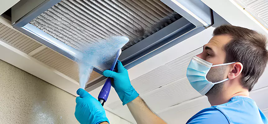 Proactive Dryer Vent & Auxiliary Duct Pollen Cleanup in Buckeye, AZ