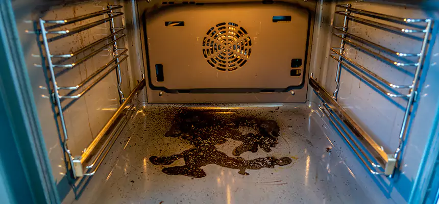 Our Dryer Vent Mold Cleaning Services in Buckeye, AZ