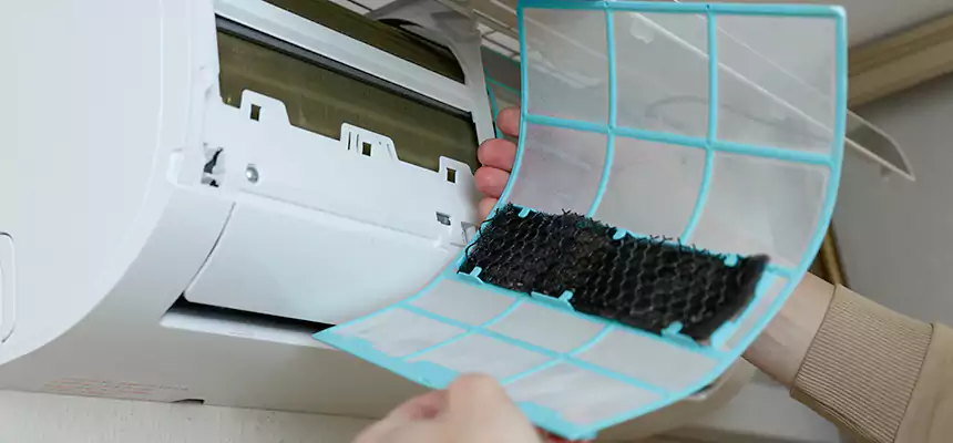 Gentle Ductwork Odor-Control Pet Dander Duct Cleaning in Buckeye, AZ