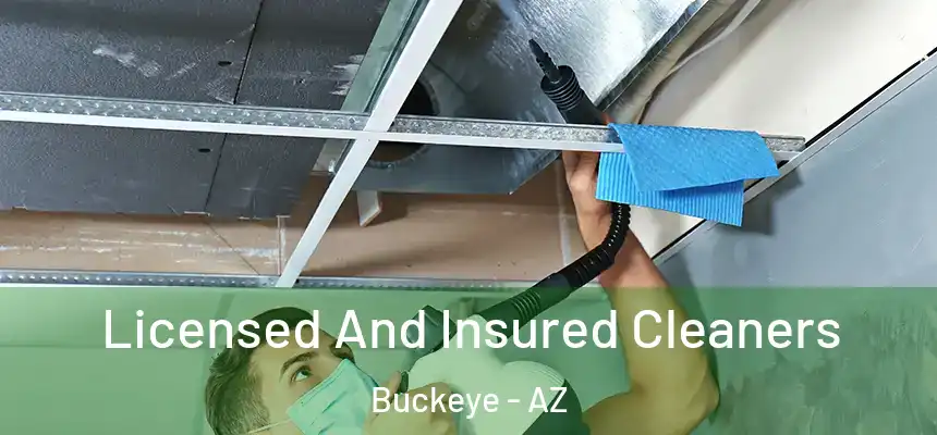  Licensed And Insured Cleaners Buckeye - AZ