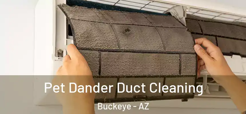  Pet Dander Duct Cleaning Buckeye - AZ