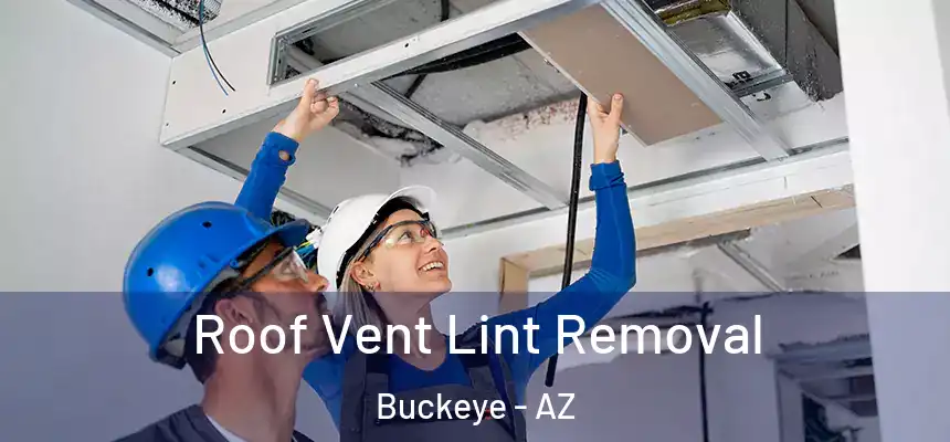  Roof Vent Lint Removal Buckeye - AZ