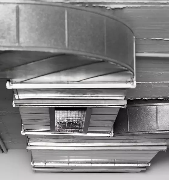 Professional Air Duct Pest Removal in Buckeye, AZ