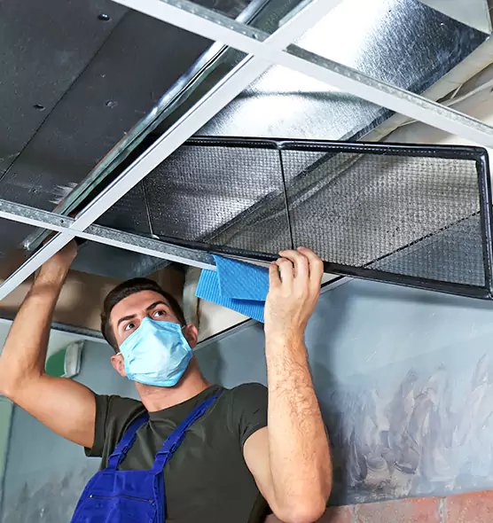 Professional Air Duct Pollen Cleaning in Buckeye, AZ