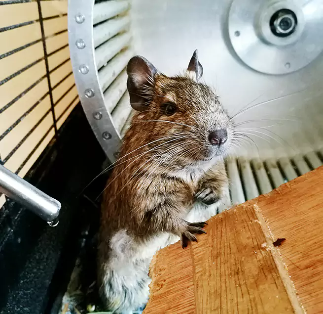 Why Homeowners & Businesses Trust Us Buckeye, AZ?