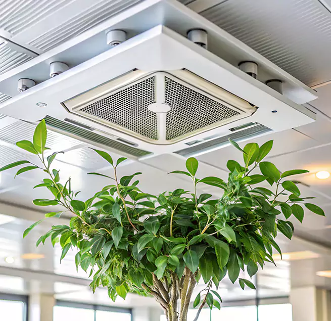 Why Homeowners & Businesses Trust Us in Buckeye, AZ?