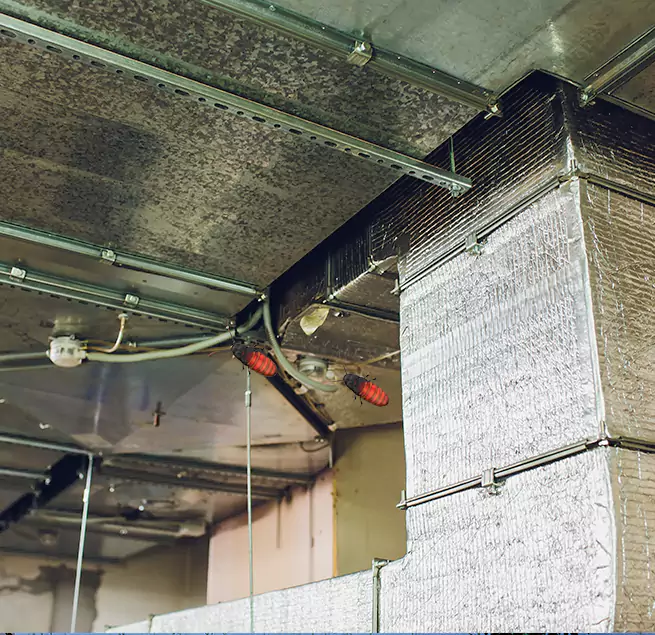 Why Homeowners & Businesses Trust Us Buckeye, AZ?