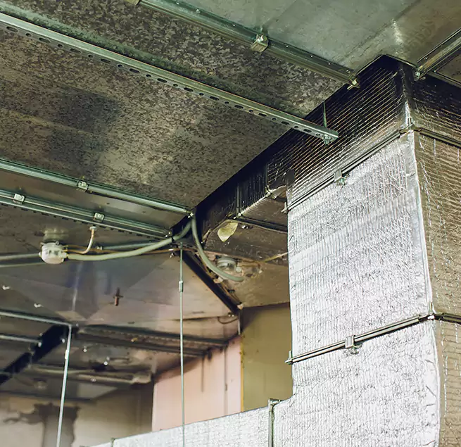 Why Homeowners & Businesses Trust Us in Buckeye, AZ?