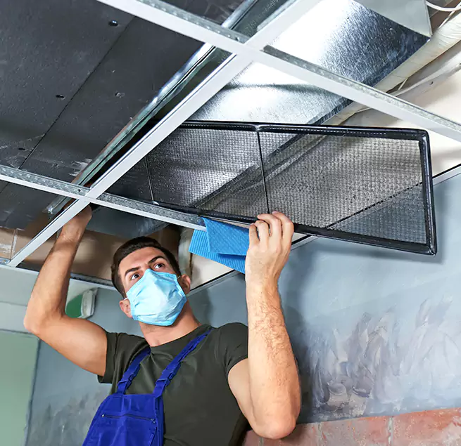  Why Homeowners Businesses Trust Us  in Buckeye, AZ?